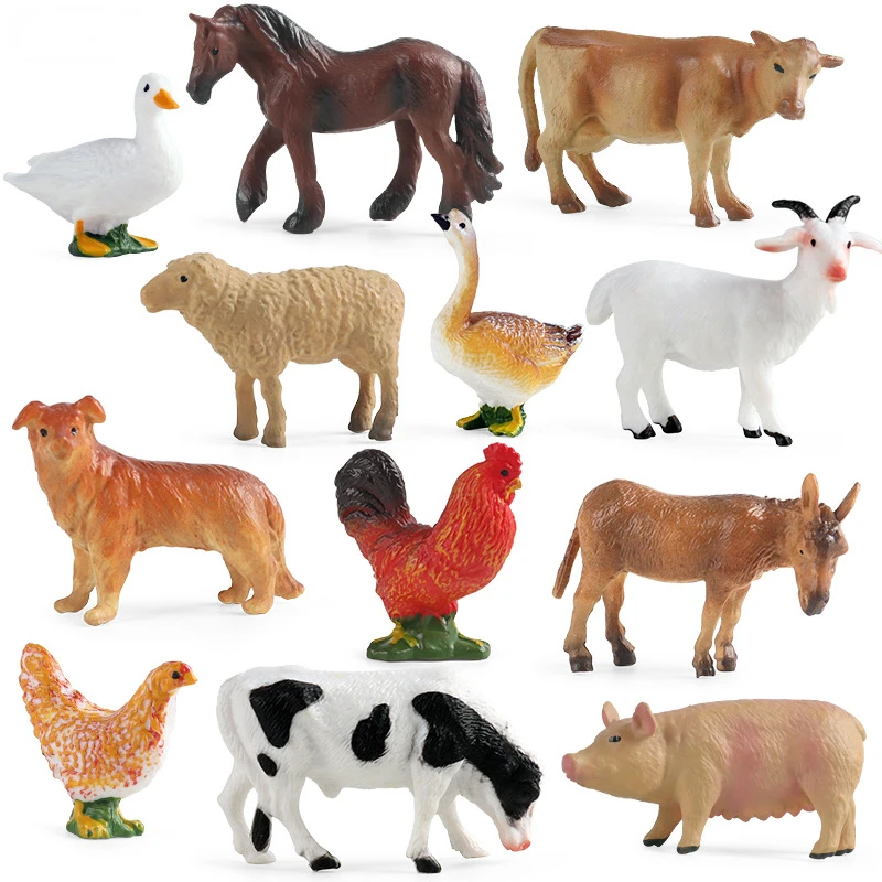 Education Teaching Tool Poultr - đánh giá và giá Kids First Education